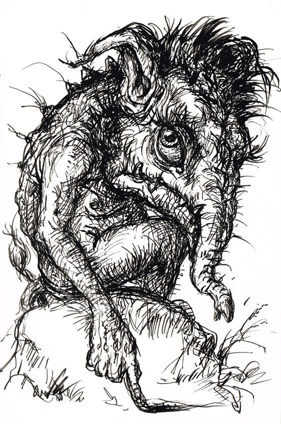 Eingeschnappter (Originalzeichnung)