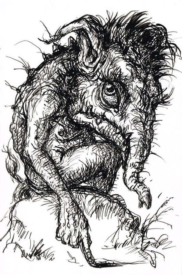 Eingeschnappter (Originalzeichnung)