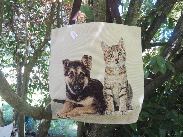 Sac les amis