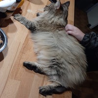 mitsy-3-standard.jpg