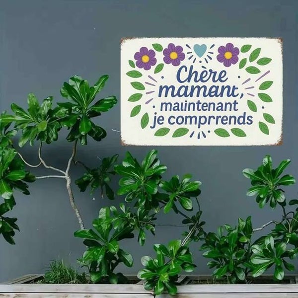 Affiche JE COMPRENDS maman