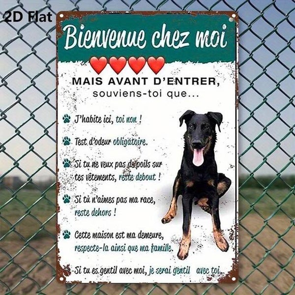 Affiche "Règles du chien" humour