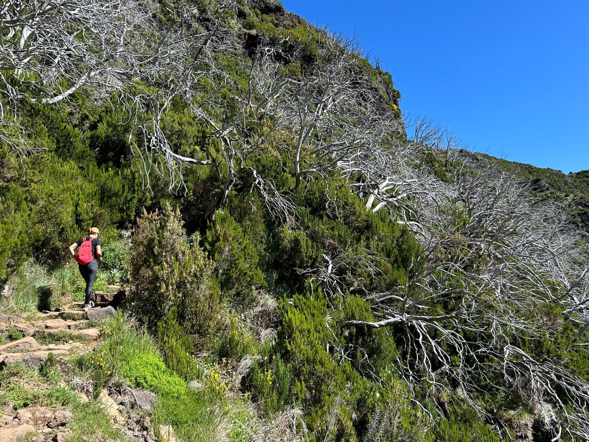 luisteren naar je gevoel