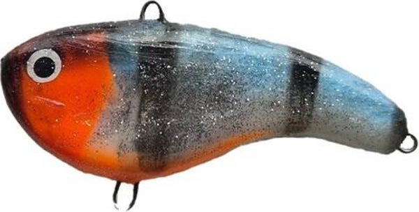 NEMO® Shy Blue Firetiger