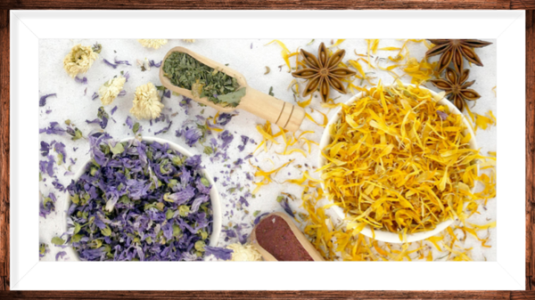 Guidance Santé / Bien-être