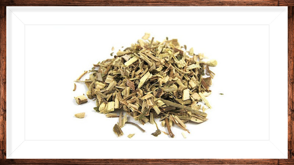 Passiflore des indes