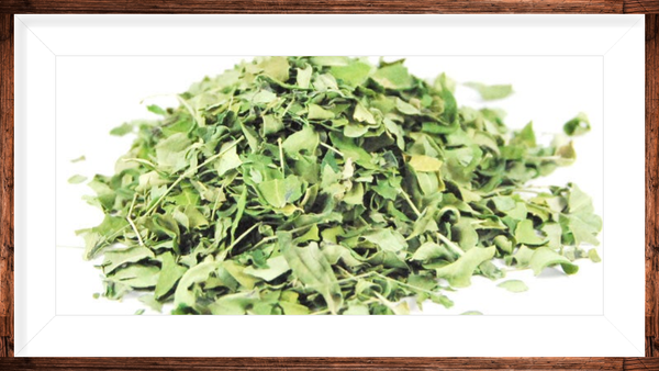 Moringa