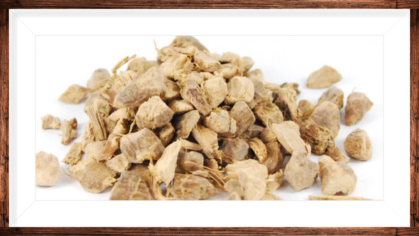 Galanga racine coupé