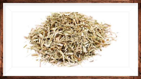 Caille lait (gatilier)