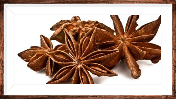 Anis étoilé Badiane