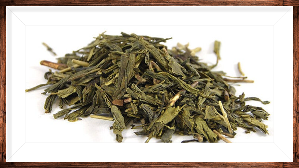 Sencha