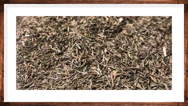 Aneth sommité fleurie