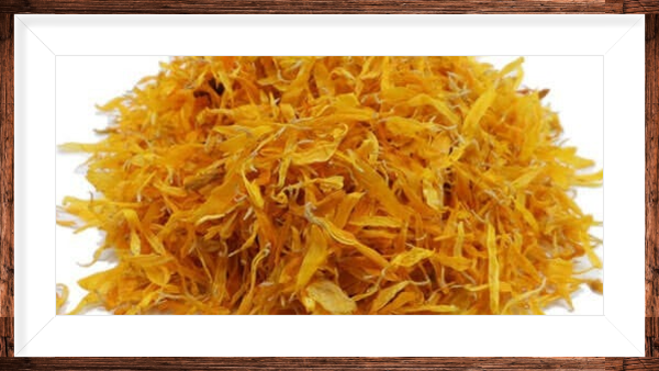 Calendula petale