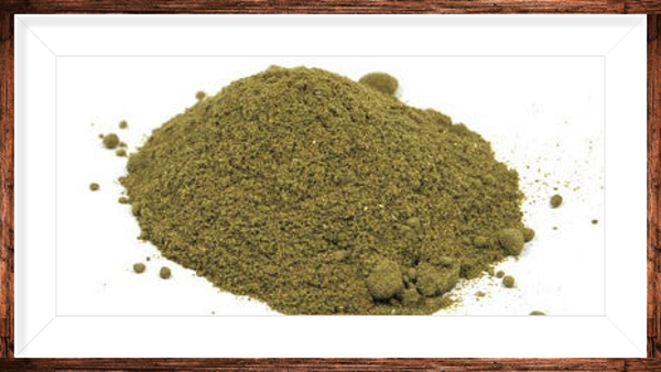 Poudre de Maté vert