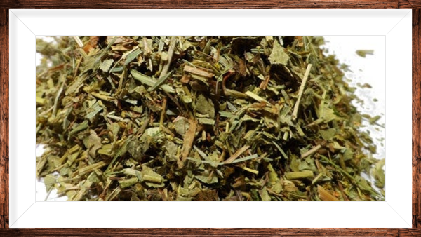 Alchémille vulgaire