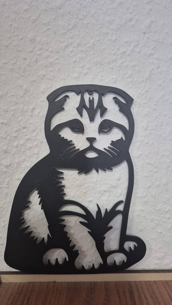 Art mural –  Scottish Fold en 3D