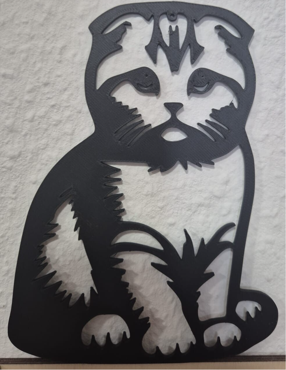Art mural – Scottish Fold en 3D