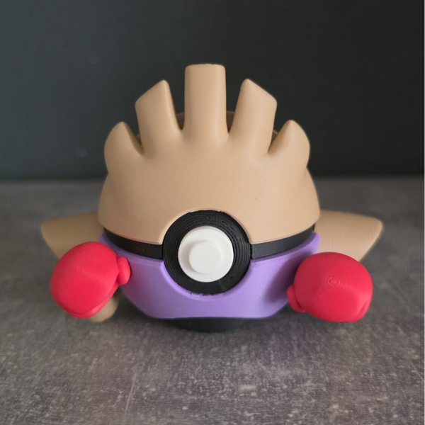 #0107 Licht Ball – Tygnon / Hitmonchan - Pokéball