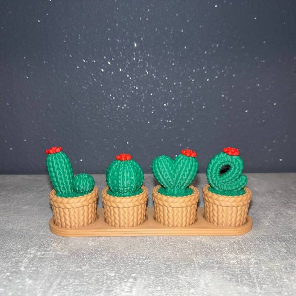 Cactus LOVE crochet 3D