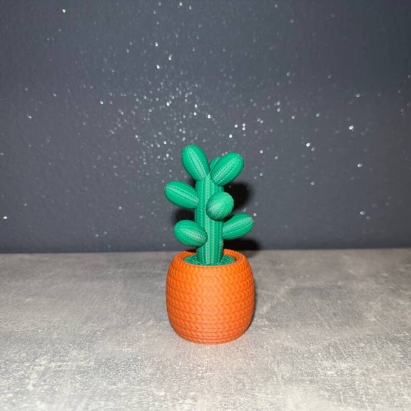 Cactus crochet 3D