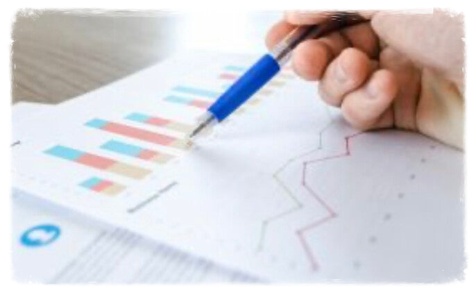 Finaincieel plan Langeveld Mediation