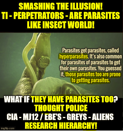 Nature is incredible Parasites / Get Parasites! Who Controls the Thought Police!? & Perpetrators?  Who can bring Order back to Human Society!? 