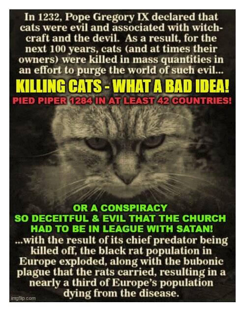 KILLING CATS! WHAT A BAD IDEA!