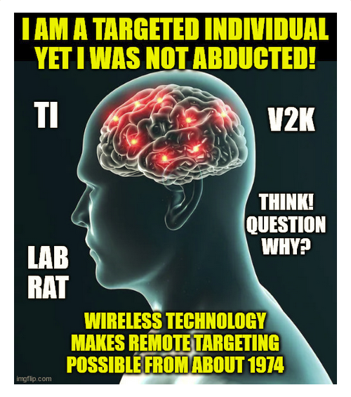TI TARGETED INDIVIDUAL MK ULTRA