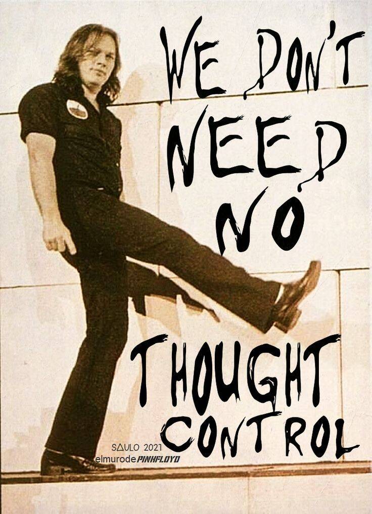 We don't need NO thought control - Another Brick In the Wall Pink Floyd