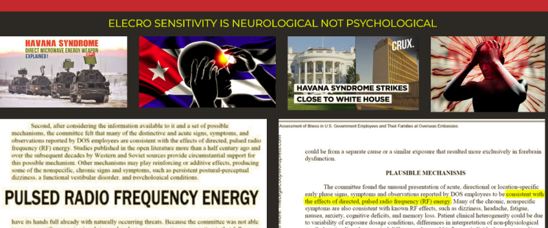 'No One is Safe' CIA Chief's Havana Syndrome Symptoms