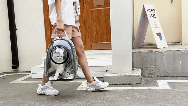 Luxury Cat Space Capsule Transparent Backpack