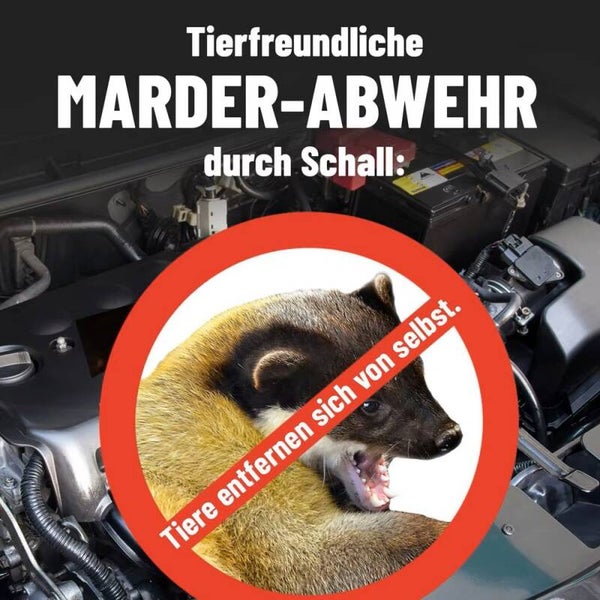 🚗 Dierenverjager voor Auto’s – Bescherm Je Motor tegen Marters & Andere Beesten!