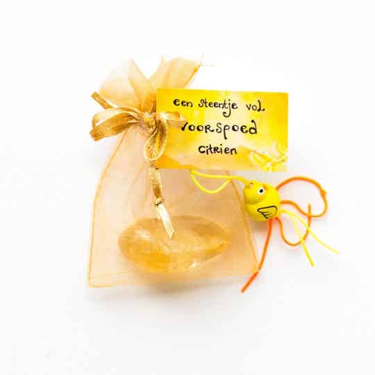 Steentje vol voorspoed