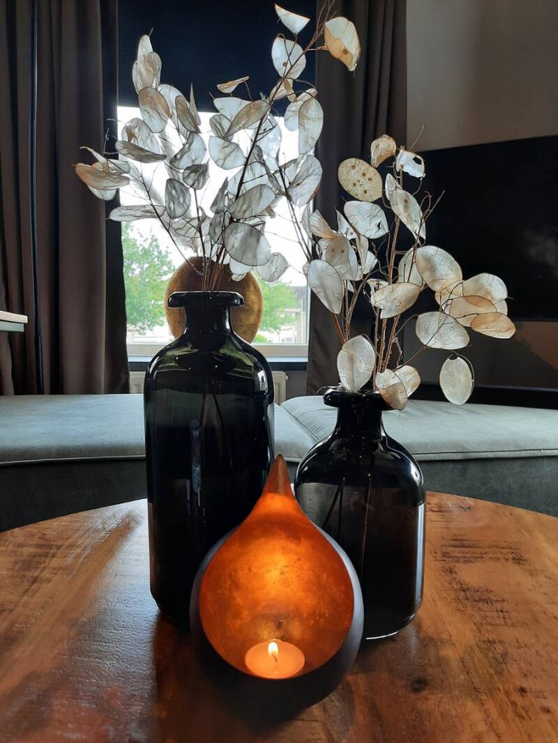 Sfeerbeeld Gedroogde Judaspenning