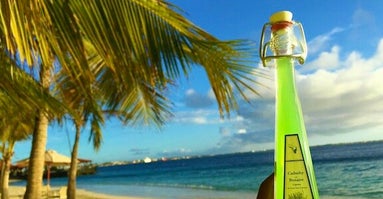 Caduschy drank - Autohuur Bonaire