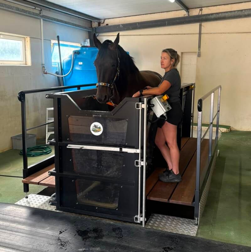 Aquatraining paarden Buggenhout