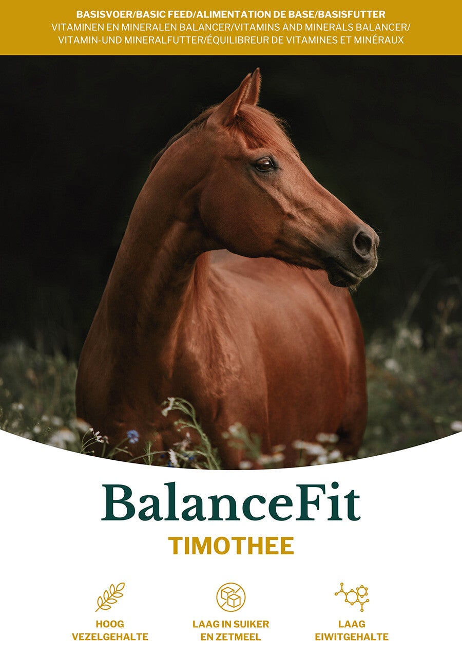 BalanceFit Timothee