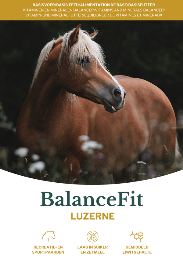 BalanceFit Luzerne
