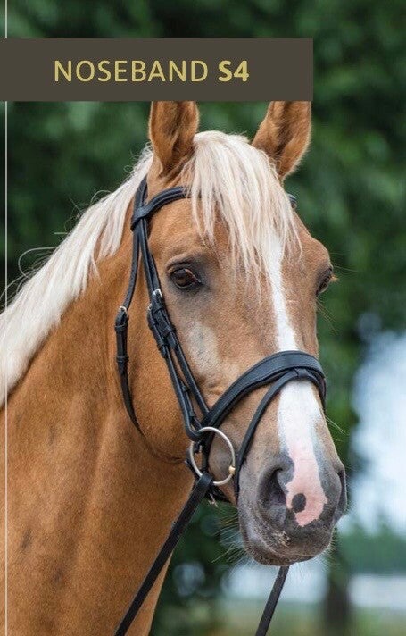 Bridle2Fit hoofdstel