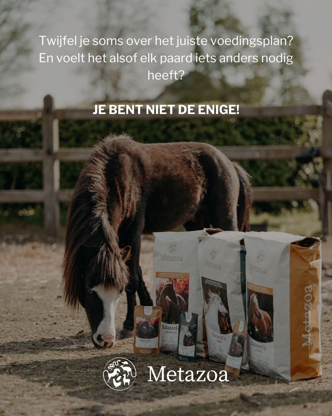 Metazoa Buggenhout