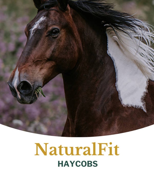 NaturalFit Haycobs