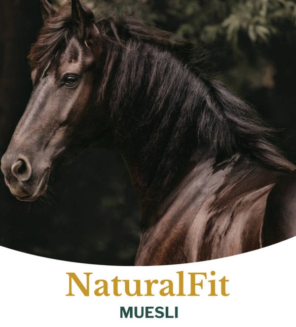 NaturalFit MUESLI