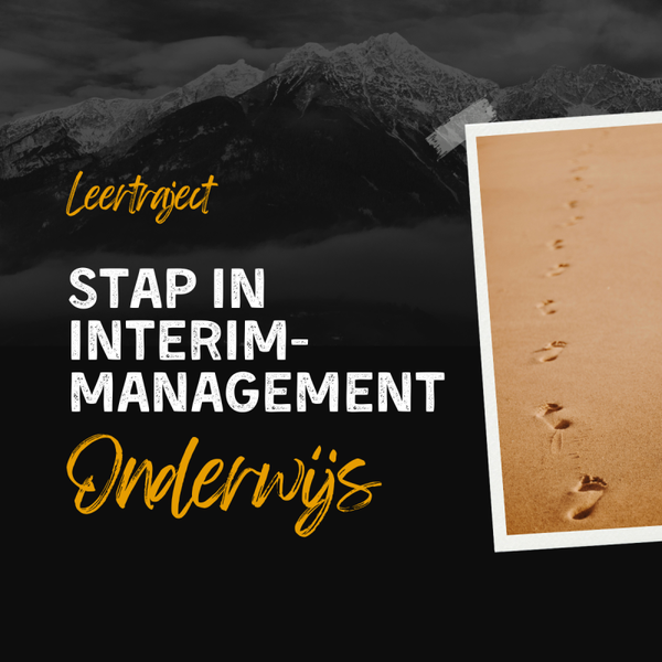 Online training STAP IN INTERIM-MANAGEMENT ONDERWIJS