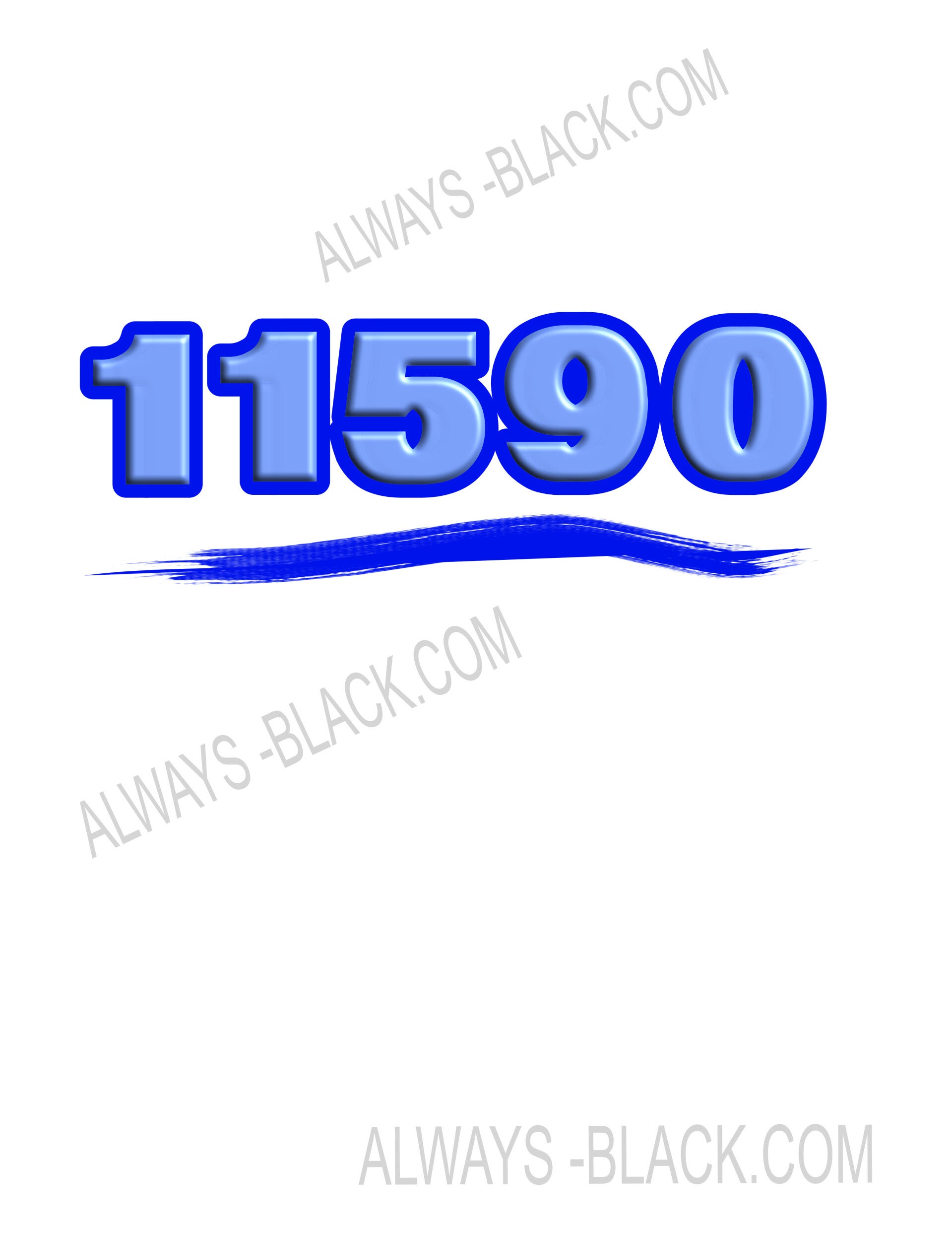 11590 NASSAU COUNTY NY