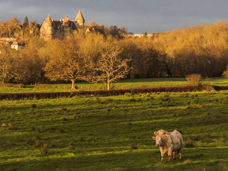 boischaut-sud-1-standard.jpg