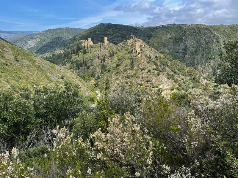 cabarde-s-1-standard.jpg