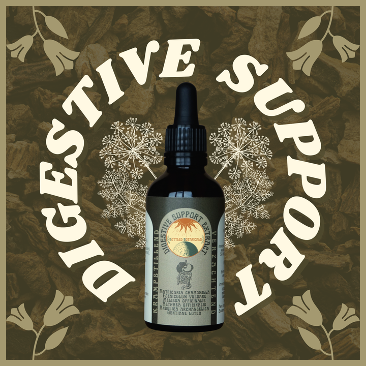 Spijsvertering Ondersteunend Extract