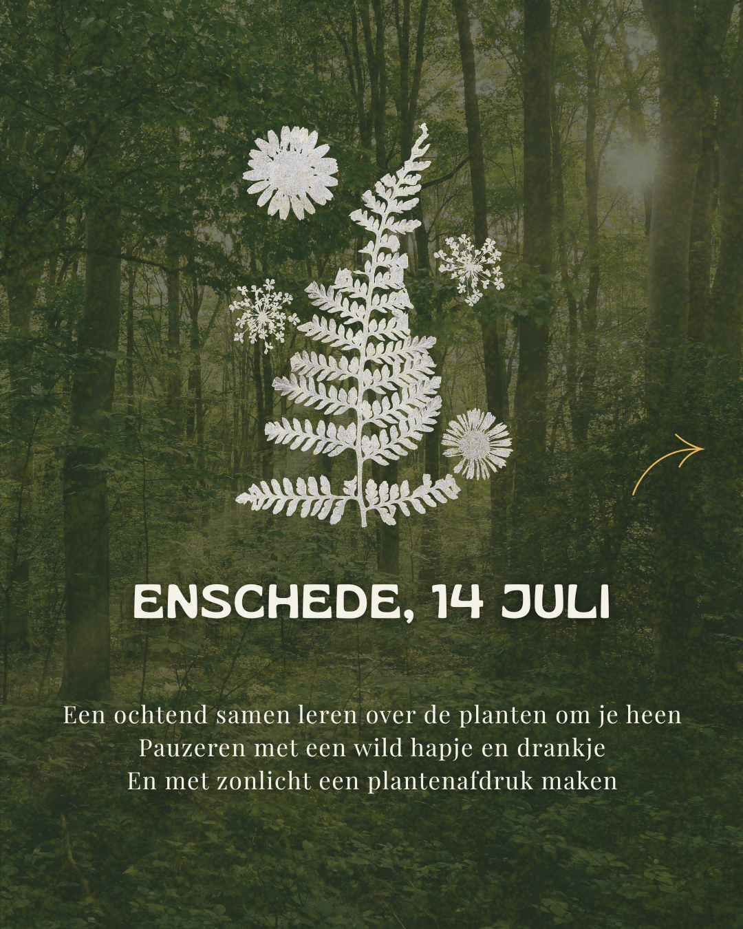 Enschede Wildplukwandeling & je eigen Anthotypie maken