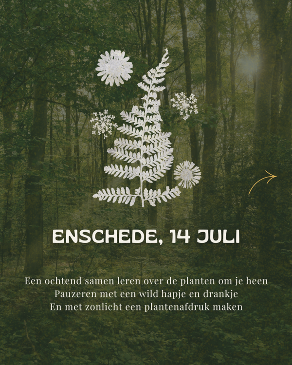 Enschede Wildplukwandeling & je eigen Anthotypie maken