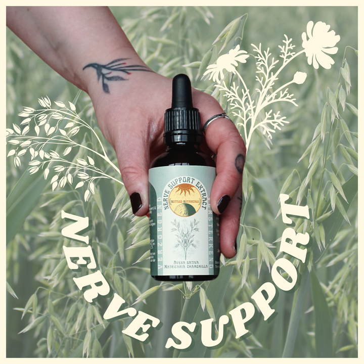 Zenuwstelsel Ondersteunend Extract